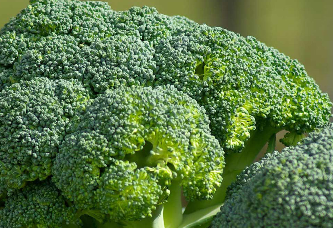Broccoli