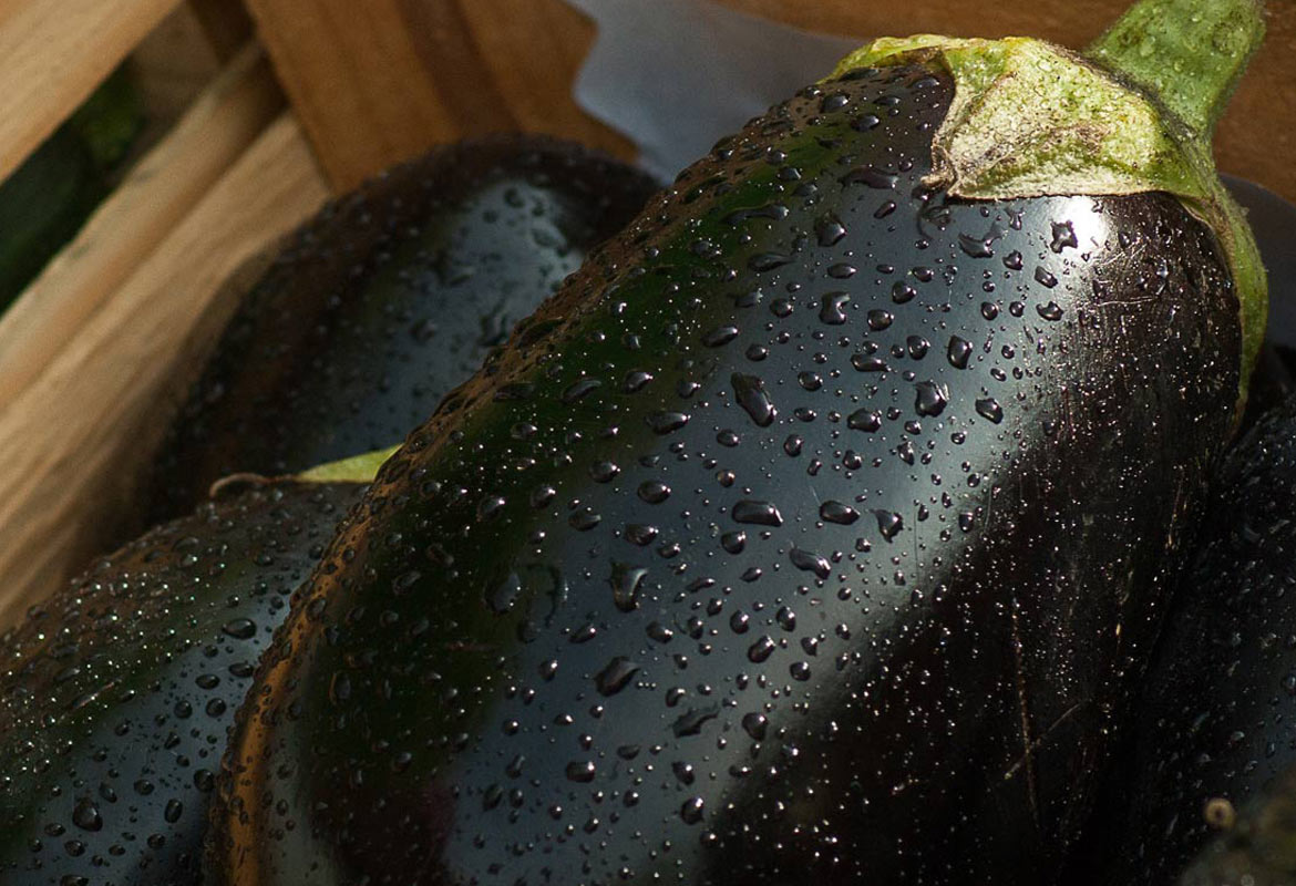 Eggplant