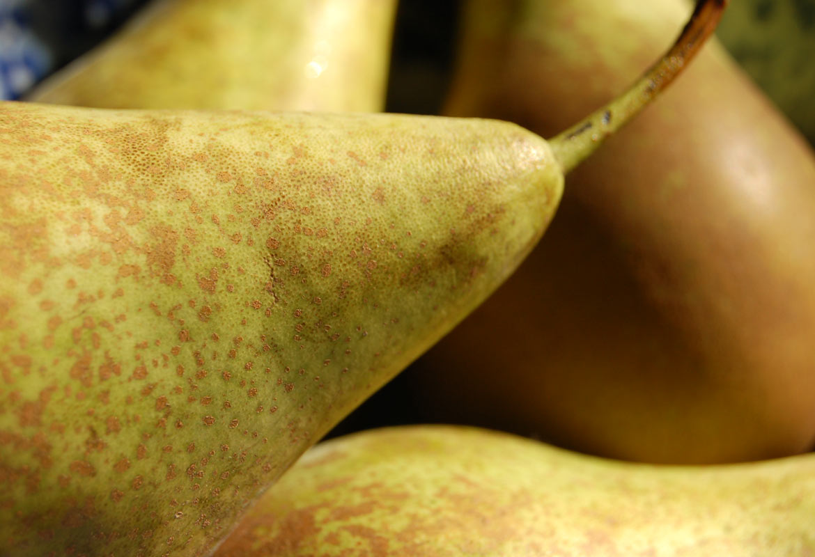 Pear